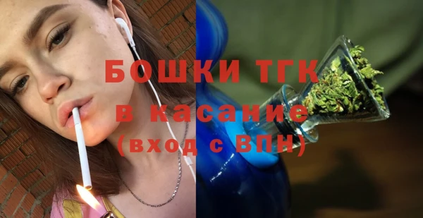шишки Верея