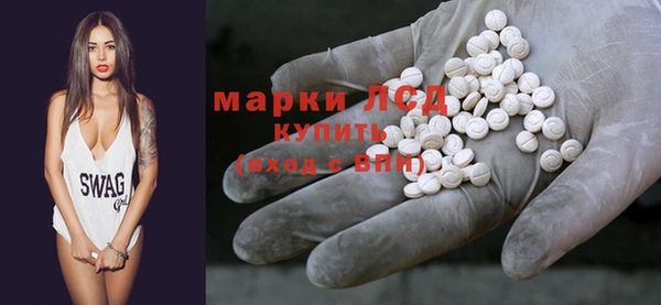 шишки Верея