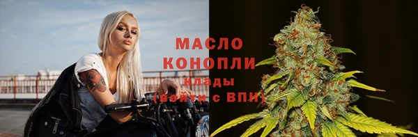 шишки Верея