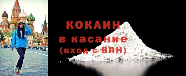 шишки Верея