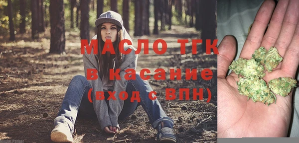 шишки Верея
