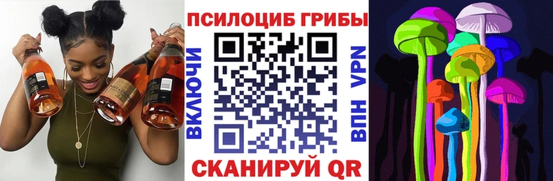 MEGA маркетплейс  Луза  Псилоцибиновые грибы Psilocybe  где найти  